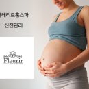 플레리르