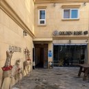 골든펜션 | 대천 2박3일 겨울여행 숙소 골든로즈펜션 내돈내산 후기 (주차,내부,대천 놀거리)