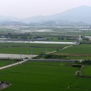 하나농축산농장 네이버블로그