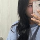 박미미용실 | 금천구미용실 시흥동미용실 추천 <제인헤어 시흥점> 헤어크리닉 후기