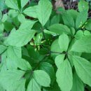 시골놀이터 이미지