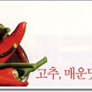 영양고추나라