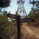 무선초등학교 이미지