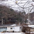 훈이식품 - 대덕구 | 훈이식품