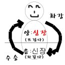 수승화강, 갱년기 열상기 증상 원인과 해결방법(안면홍조) 이미지