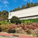 우두리 포펫 애견펜션 | 여수 애견동반 여행 숙소 우두리포펫 가성비 애견펜션내돈내산