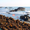 아트스트리트 이미지