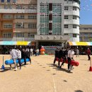 부산 초등학교 운동회 : 금빛초등학교 (04/30) - ☆튼튼☆체육 &amp; 이벤트 행사 이미지