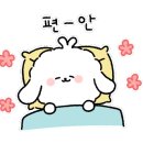 꿈꾸는피아노 이미지