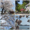 이소콘도 이미지