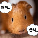 봉봉스테이션 이미지