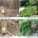 김삿갓면-35 이미지