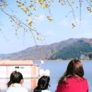 늘햇살만우농촌마을 | 호수에 물든 노란 길, 그리고 사람의 미소 — 박병일 작가 가 기록한 괴산 문광저수지의 가을 이야기