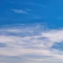 (주)이세산업 이미지