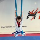 HTS 경희대 석사 태권도장 | 안산태권도, 우리 아이 첫 도장! 꼼꼼하게 따져봐야 할 교육 포인트들