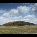 제주하늘바람 이미지