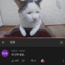 혹시 울며 겨자먹기로 출근 하는 사람 있어? 차라리 울며 겨자 먹고싶다