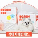 강아지배변패드 바잇미보솜패드 써보고 느낀 진짜 차이점