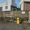 아인 | 제주도 독채 펜션 아인 후기｜자쿠지 있는 제주 김녕 숙소, 아기랑 느낀 제주 감성