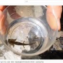 민들레샘물 지역아동센터 이미지