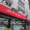 백헤어뉴스