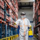 회성동231 이미지