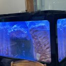 더하다 가야점 이미지