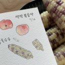 엉아농수산물