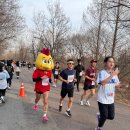 오늘앤히트 | 20260322 YTN히트앤런 후기 (바람직한 대회2) (나의25번째 러닝대회)