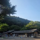한국대형정비 | 용인 여름에 가볼만한 곳 한국민속촌 야간개장 납량특집 심야공포촌 후기