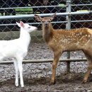 월봉농장 이미지