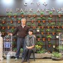 61파크에비뉴(61 PARK AVENUE)