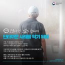 대전전단