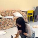 Neko Stay 이미지