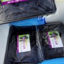 흰돌농장 이미지