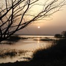 사랑마음이네 이미지