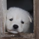 머리세상 이미지