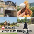 매월건강랜드이발부 | 과천 가볼만한곳 렛츠런파크 포니랜드 승마체험, 주차장, 입장료 정보 총정리