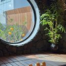 제주도가족펜션 행원주택 | 제주 공항근처 숙소 풀빌라 독채 펜션 제주도 가족 여행 숙소