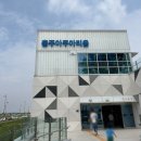 담수장어 | [충남] 충주 실내 아이와 가볼만한 곳 충주아쿠아리움 추천 주차 입장료 무료 아쿠아리움 솔직후기