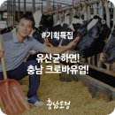 크로바 유업 이미지