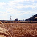 구봉도입구 이미지