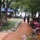 응봉공원 이미지