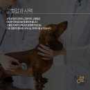 안중동물병원 이미지