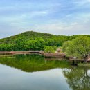 들성생태공원 이미지