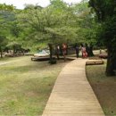 절물자연휴양림 이미지