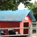 상몽농장2 이미지