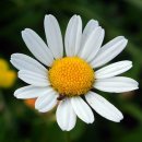 케이메디컬 이미지