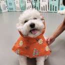 코디잡평생교육원