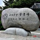 신라의 달밤 이미지